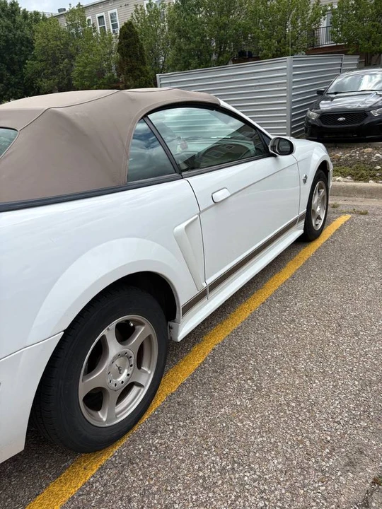 2004 Ford SN95 Mustang - Image 2 of 10
