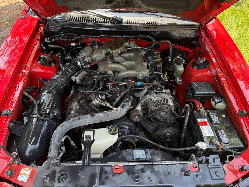2000 Ford SN95 Mustang - Image 18 of 18