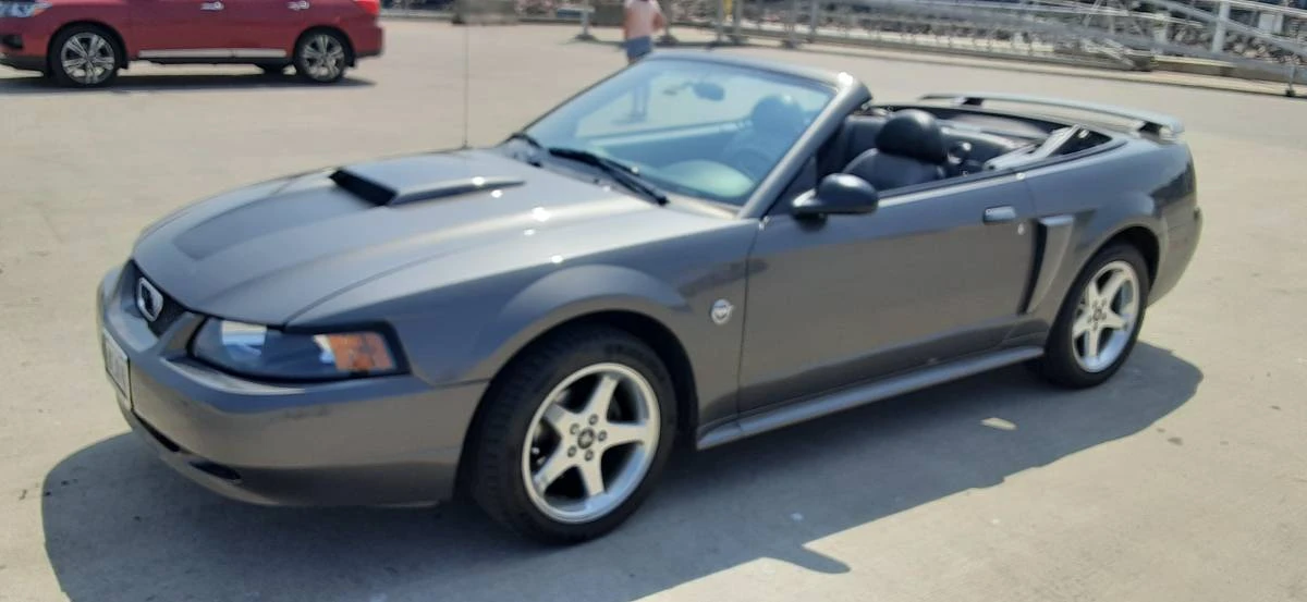 2004 Ford SN95 Mustang - Image 3 of 4